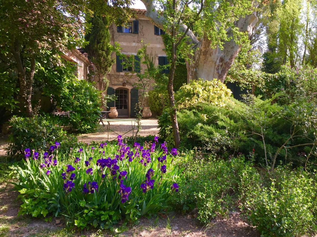 Campagne Baudeloup Bed & Breakfast L'Isle-sur-la-Sorgue Luaran gambar