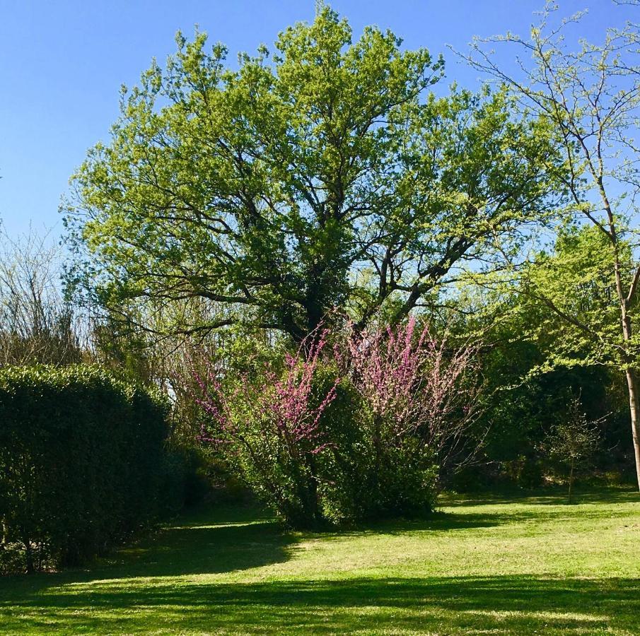 Campagne Baudeloup Bed & Breakfast L'Isle-sur-la-Sorgue Luaran gambar
